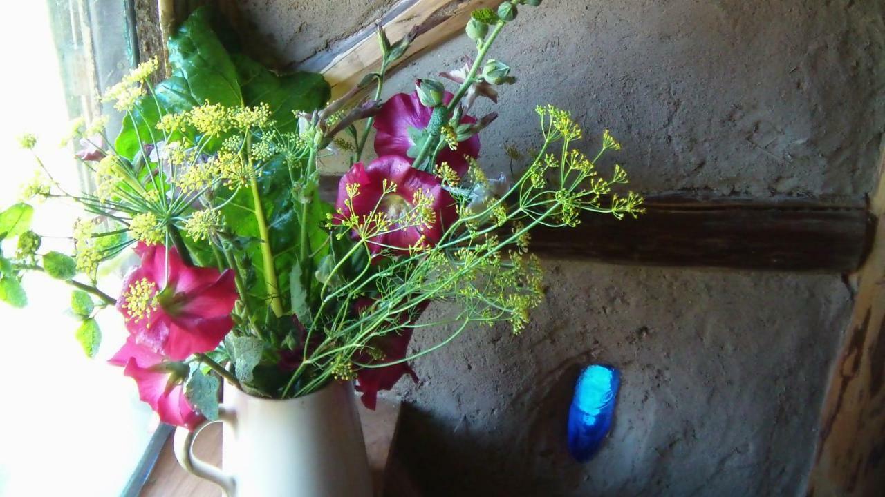 La Clairiere Du Verbamont Claudon Ngoại thất bức ảnh