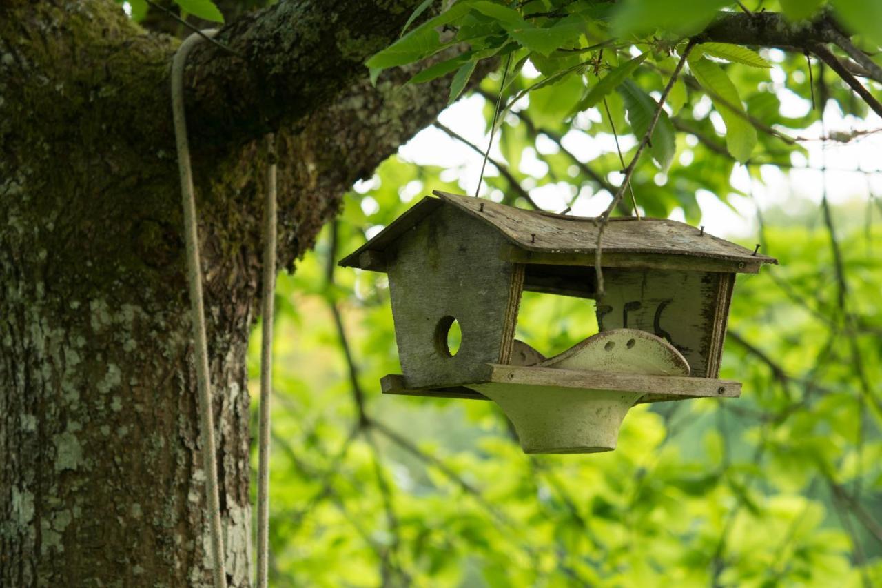 La Clairiere Du Verbamont Claudon Ngoại thất bức ảnh